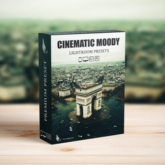 [风光LR预设]电影级城市街道Lightroom预设 Cinematic Moody Street Landscape Presets