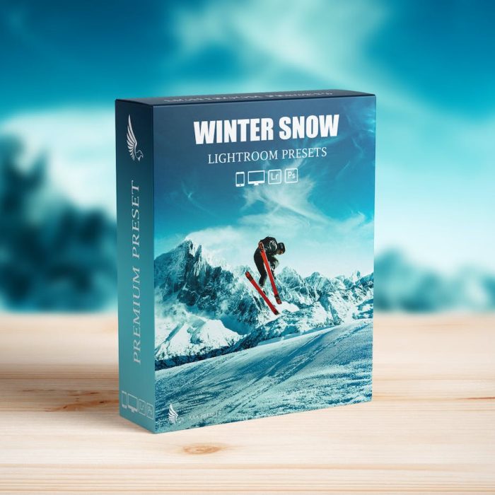 [风光LR预设]冬季冰雪电影风光Lightroom预设 Snow & Winter Presets for Lightroom