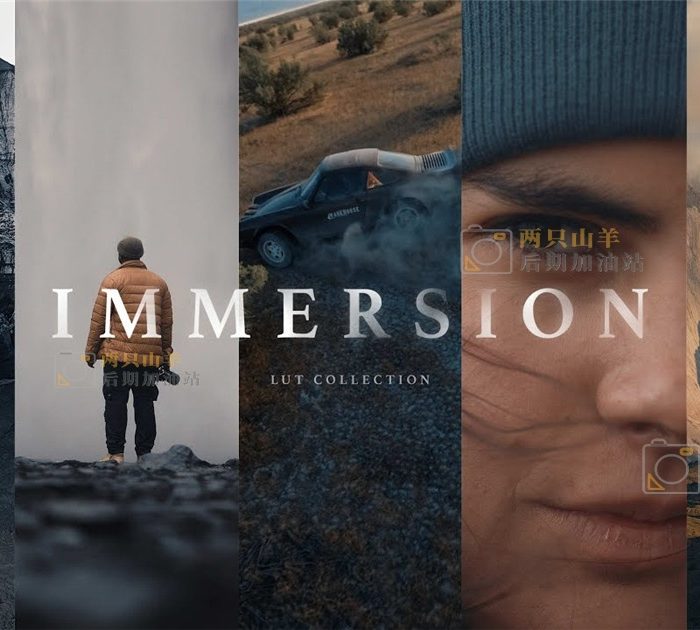LUT预设- 热门情绪氛围美学旅拍电影感LUT调色预设 Gamut Immersion