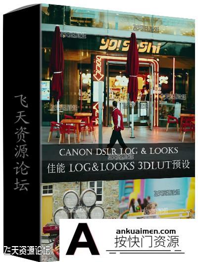 佳能 Canon DSLR LOG3 & LOOKS pf3 Profiles +专业视频调色LUTs预设下载